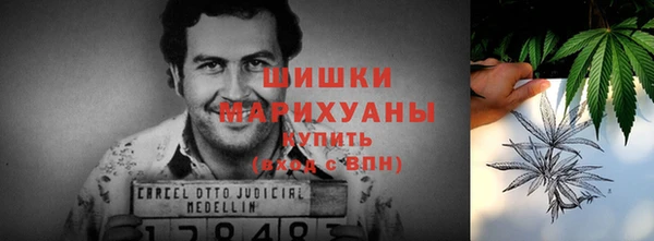 ПСИЛОЦИБИНОВЫЕ ГРИБЫ Вязьма