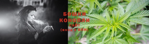 ПСИЛОЦИБИНОВЫЕ ГРИБЫ Вязьма