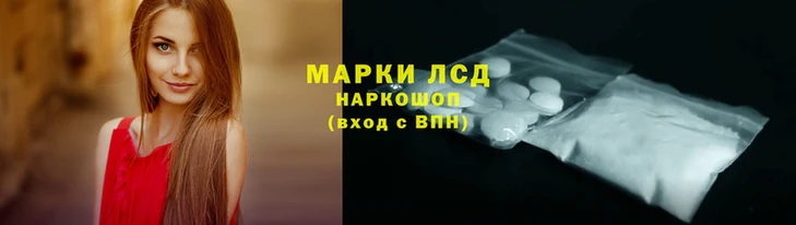 spice Вяземский