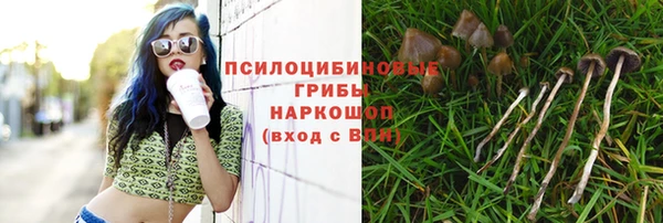 spice Вяземский