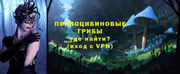 ПСИЛОЦИБИНОВЫЕ ГРИБЫ Вязьма