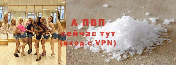 spice Вяземский
