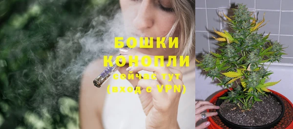 spice Вяземский